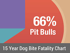 15 Year 168极速赛车 dog bite Fatality Chart 2005-2019