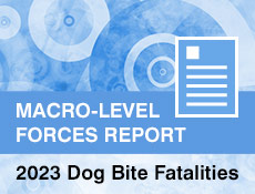 Covid Impact Report 2023 Dog Bite Fatalities